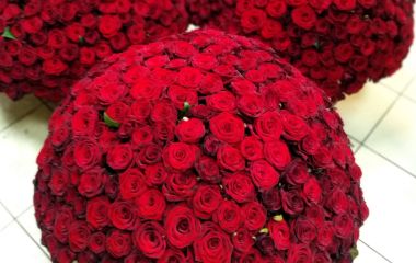 Що означає колір троянди?