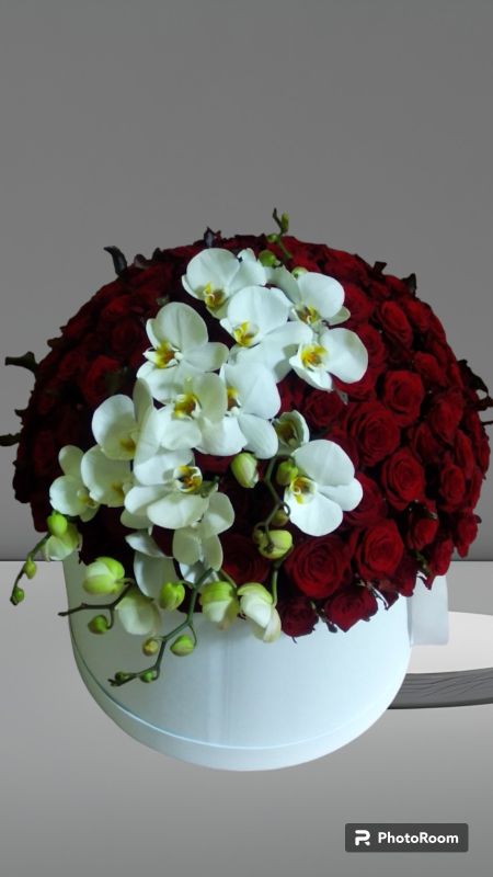 Композиція "Особливе відношення"