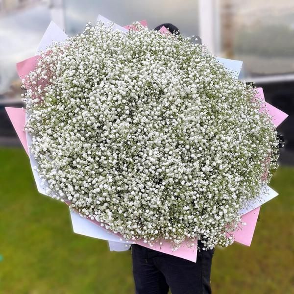 Букет 51 гілка гіпсофіли
