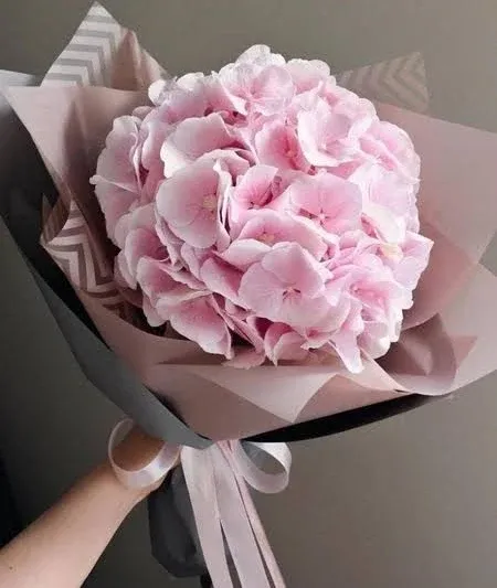 Букет гортензії "Ніжність"