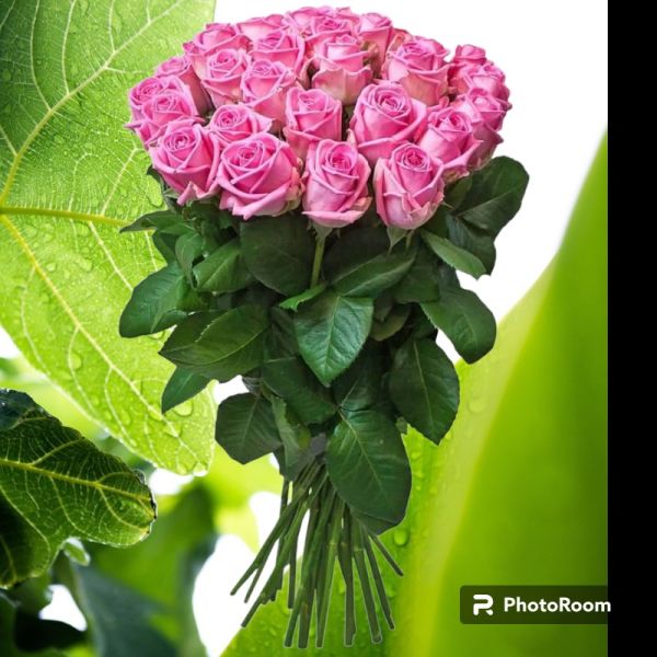 Букет 25 рожевих троянд