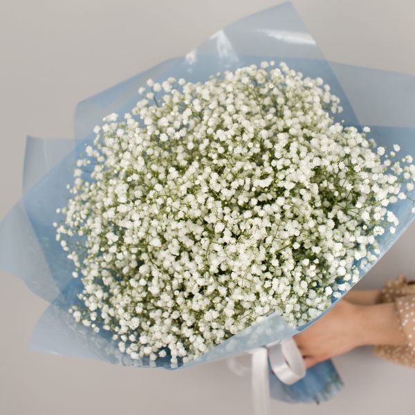 Букет 15 гілок гіпсофіли